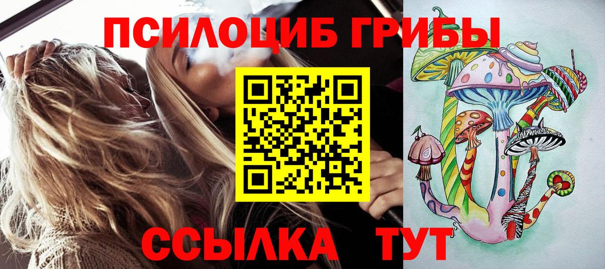 Псилоцибиновые грибы Psilocybe  Вход с VPN  Дивногорск 